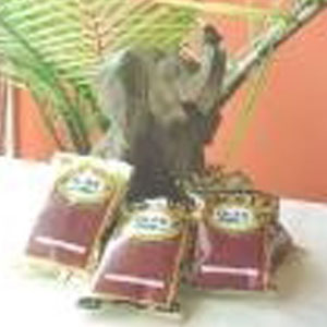 Ola's Organic Single Variety Pack Coffee